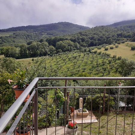 Costa Del Sole 42 Lägenhet Cetona Exteriör bild